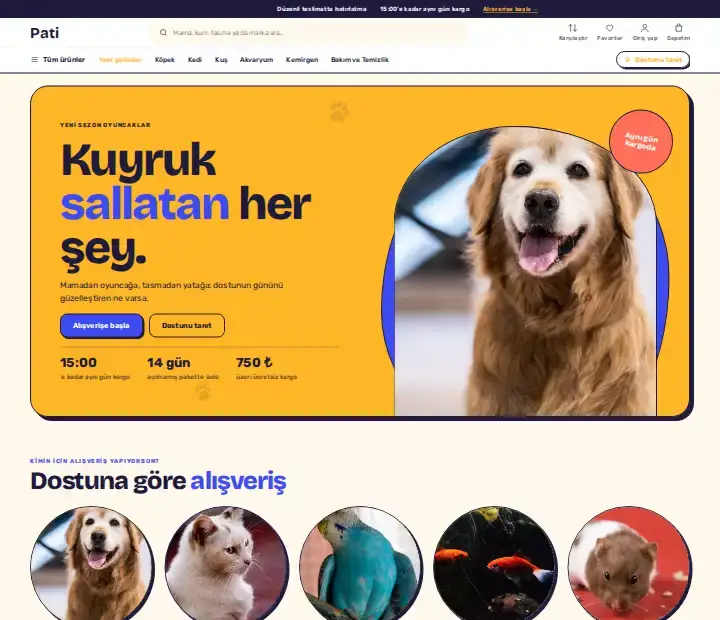 Pati teması, bilgisayarda
